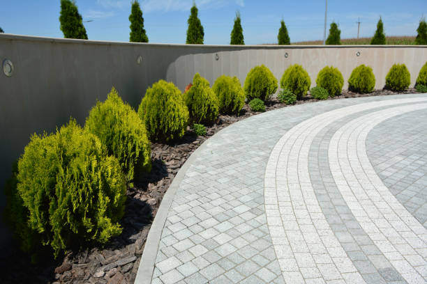 Best Local Driveway Pavers  in Rouses Point, NY